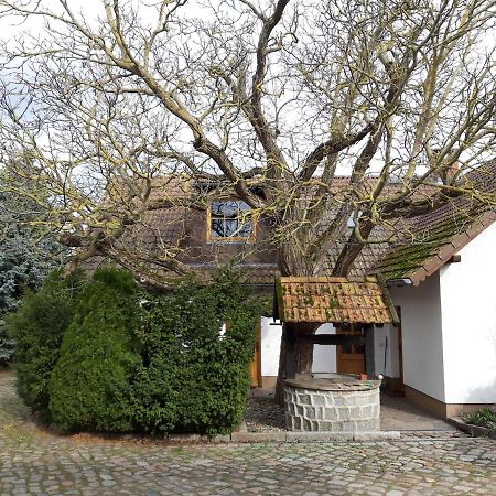 Ein Bett Im Kornfeld - Haus Weitblick - Mit Innenpool Schonfeld  Exteriér fotografie