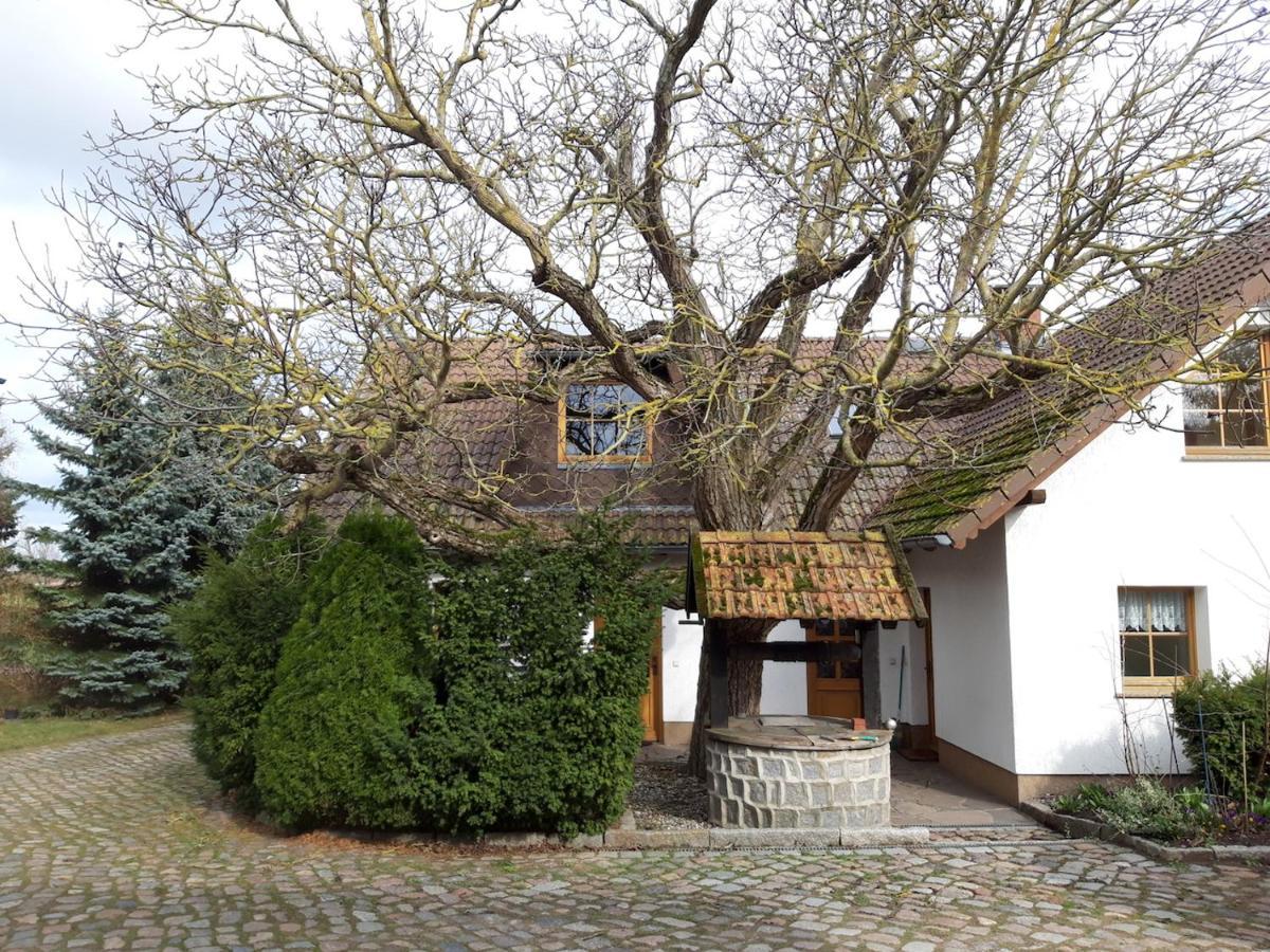 Ein Bett Im Kornfeld - Haus Weitblick - Mit Innenpool Schonfeld  Exteriér fotografie