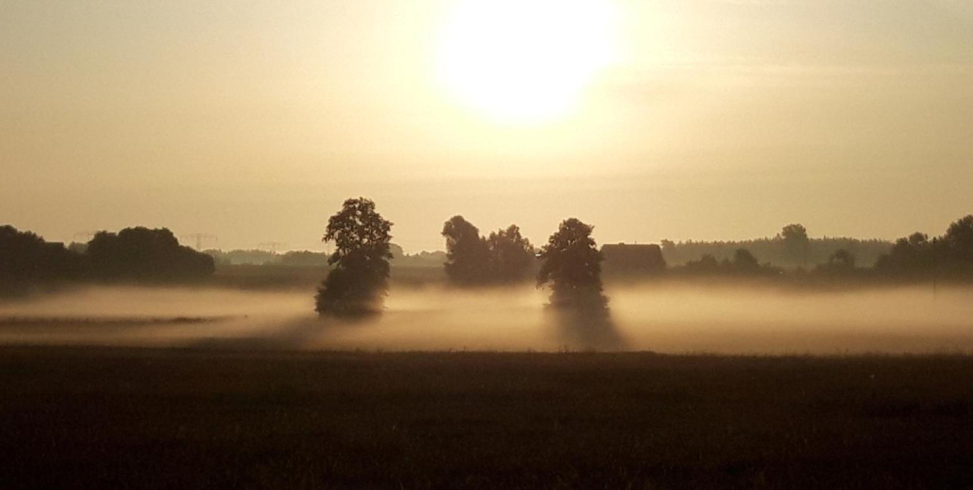 Ein Bett Im Kornfeld - Haus Weitblick - Mit Innenpool Schonfeld  Exteriér fotografie