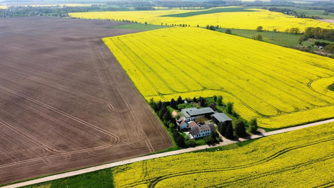 Ein Bett Im Kornfeld - Haus Weitblick - Mit Innenpool Schonfeld  Exteriér fotografie